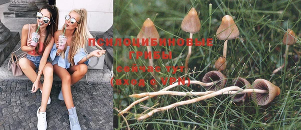 эйфоретик Алзамай