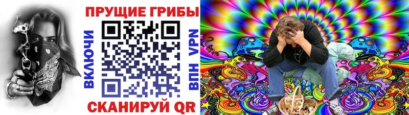 закладки  blacksprut рабочий сайт  Псилоцибиновые грибы прущие грибы  Киреевск 